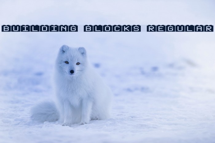Building Blocks Regular Font examples