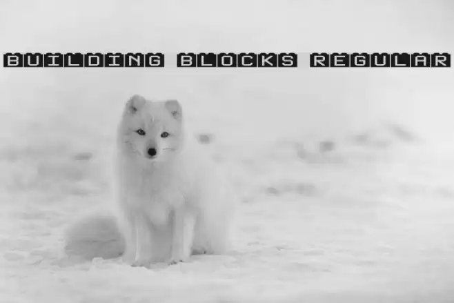 Building Blocks Regular Font examples