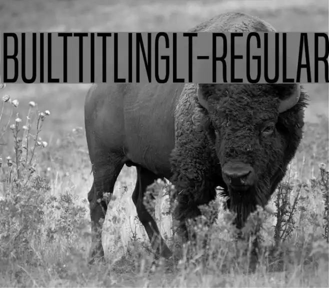 BuiltTitlingLt-Regular Example 1