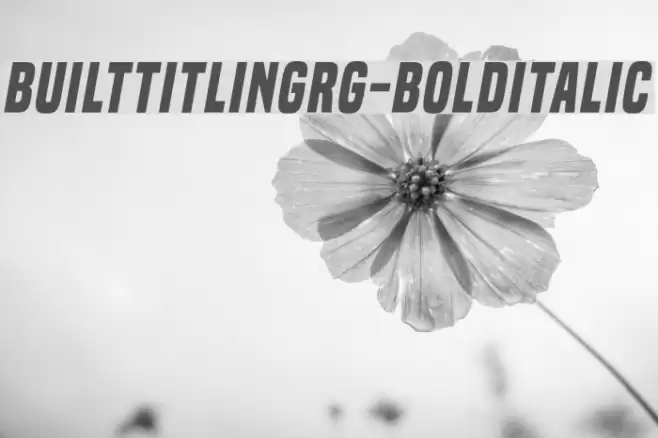BuiltTitlingRg-BoldItalic Font examples