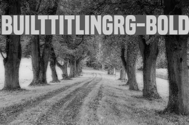 BuiltTitlingRg-Bold Example 1