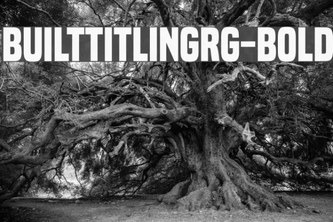 BuiltTitlingRg-Bold Example 2