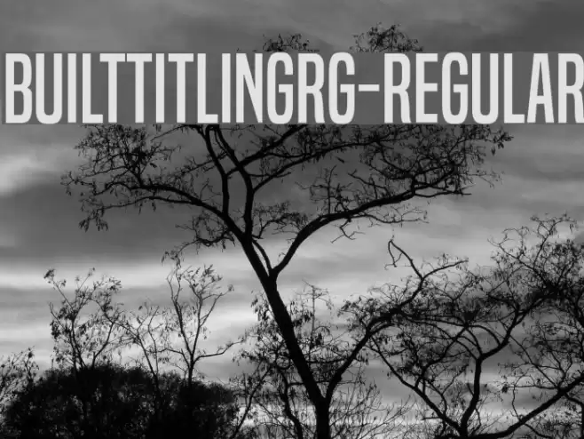 BuiltTitlingRg-Regular Font examples