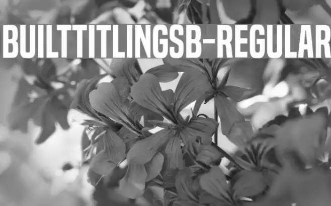 BuiltTitlingSb-Regular Font examples