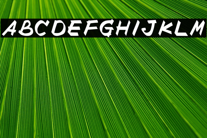 Buitenzorg Example 3