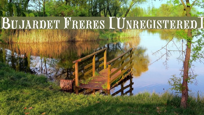 Bujardet Freres [Unregistered] Example 1