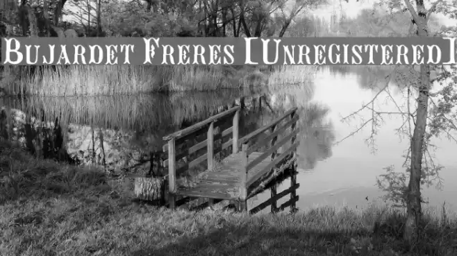 Bujardet Freres [Unregistered] Fonte examples