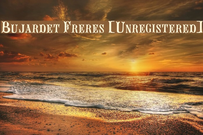 Bujardet Freres [Unregistered] Example 2