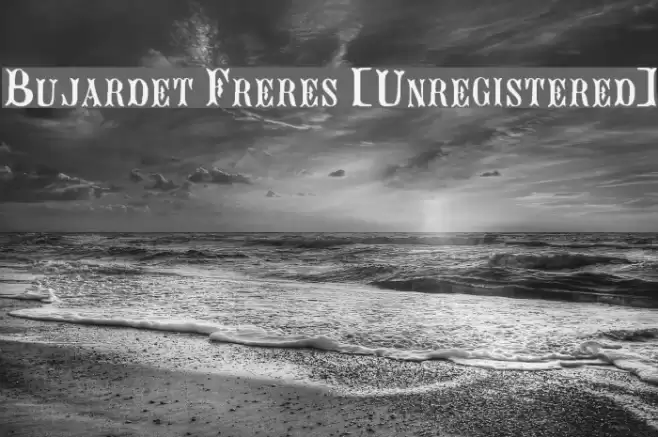 Bujardet Freres [Unregistered] Fonte examples