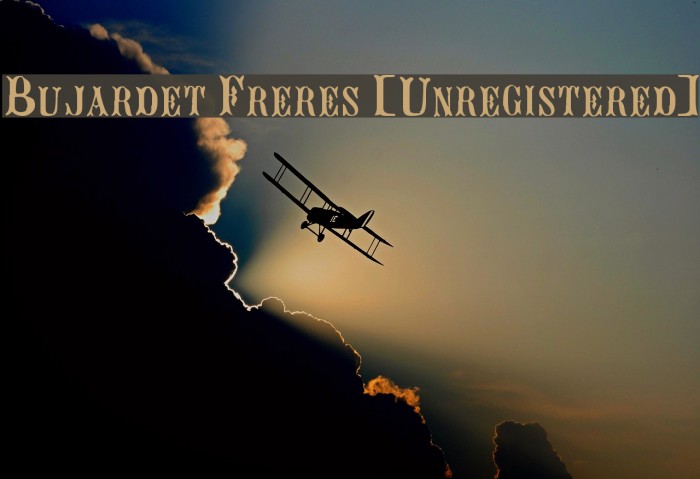 Bujardet Freres [Unregistered] Example 3