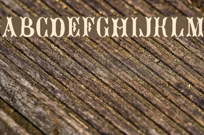 Bujardet Freres Font examples