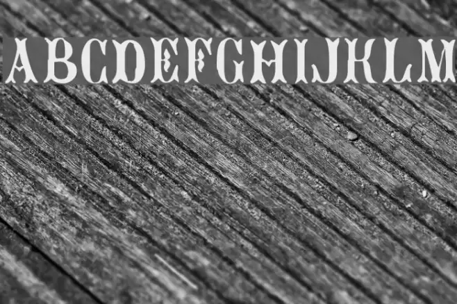 Bujardet Freres Fonte examples