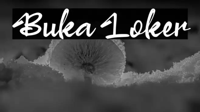 Buka Loker Example 2