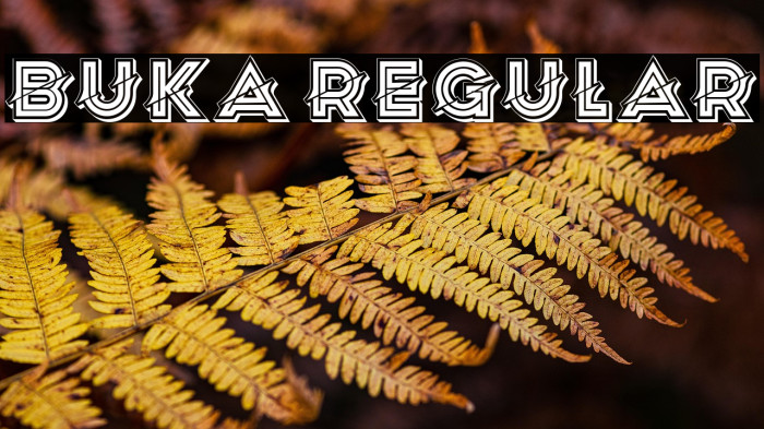 Buka Regular Example 1