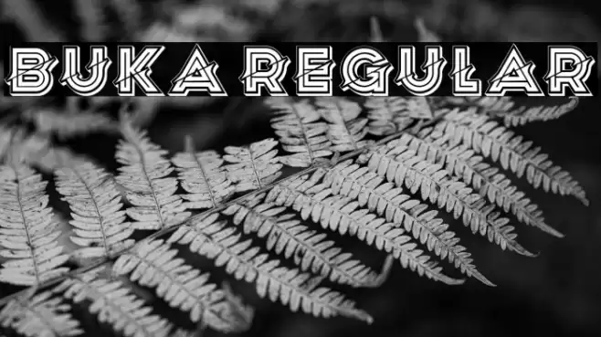 Buka Regular Font examples