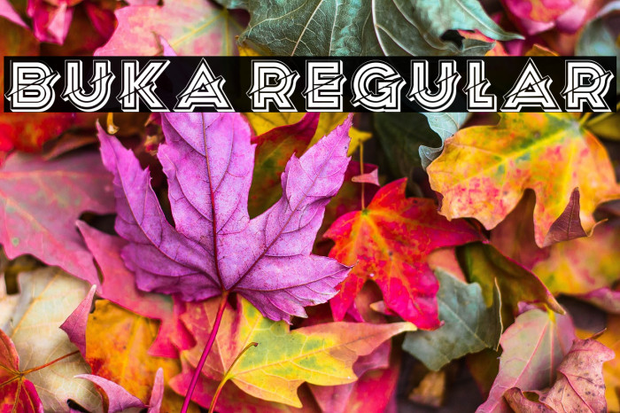 Buka Regular Example 2