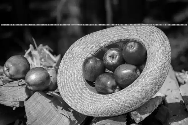 BukanBinary Mono Font examples