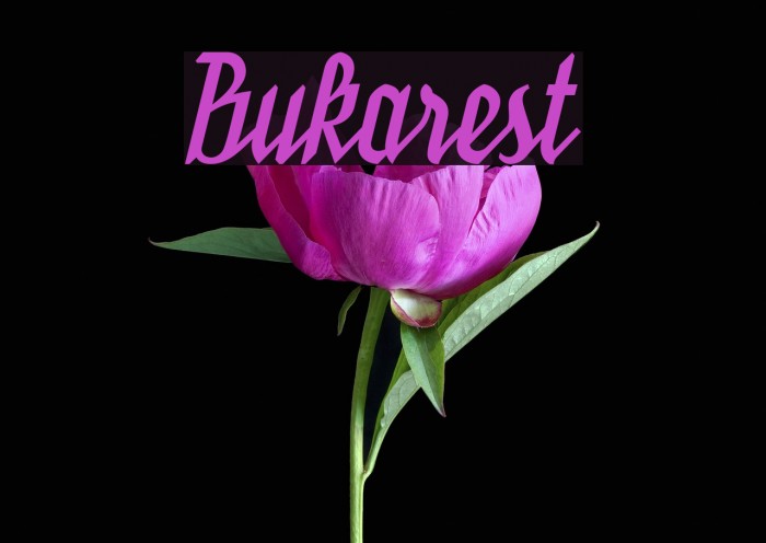 Bukarest Font examples