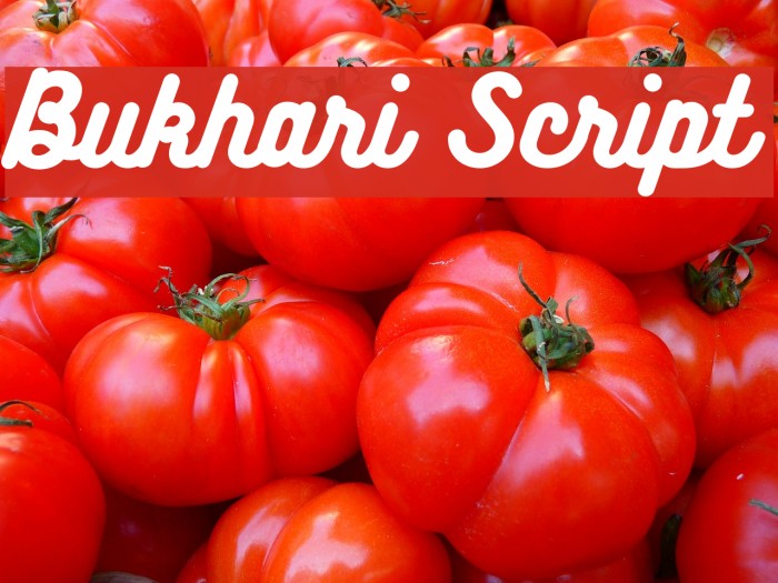 Bukhari Script Font examples
