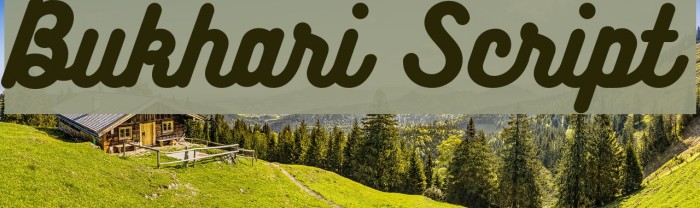 Bukhari Script Font examples