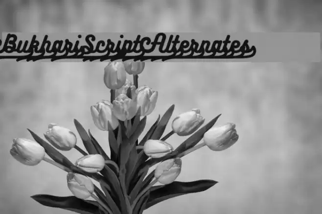 BukhariScript Alternates Font examples