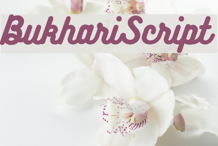 BukhariScript Font examples