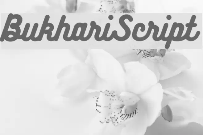 BukhariScript Font examples