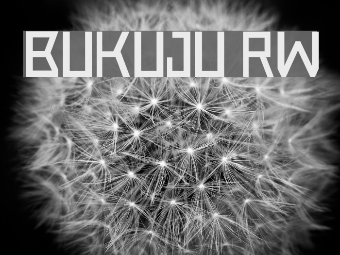 Bukuju RW Font examples