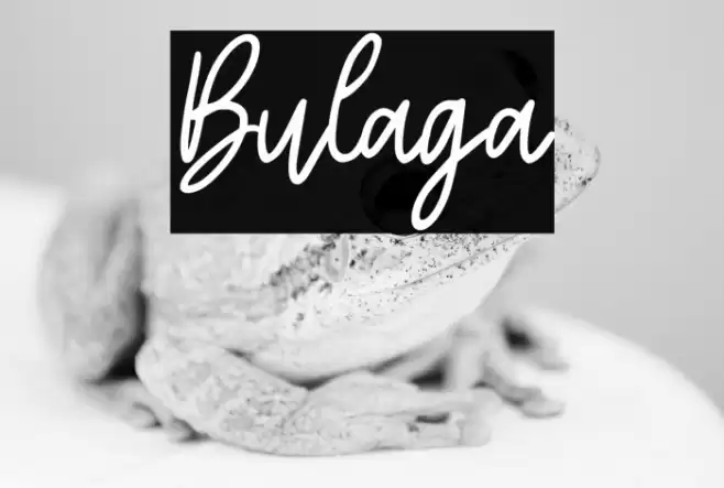 Bulaga Polices examples