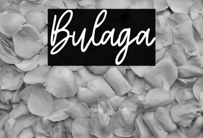 Bulaga Polices examples