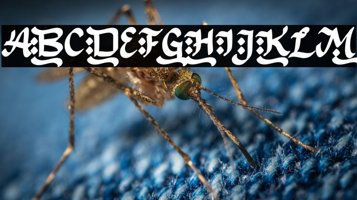 Bulan Rajab Example 3