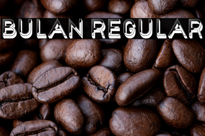 Bulan Regular Example 1