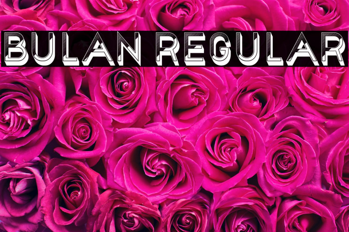 Bulan Regular Example 2