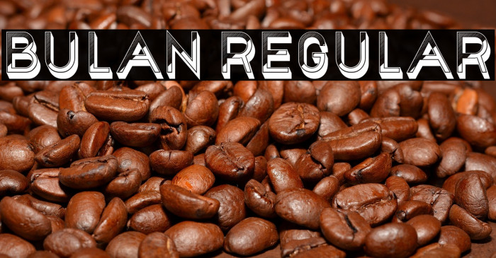 Bulan Regular Example 3