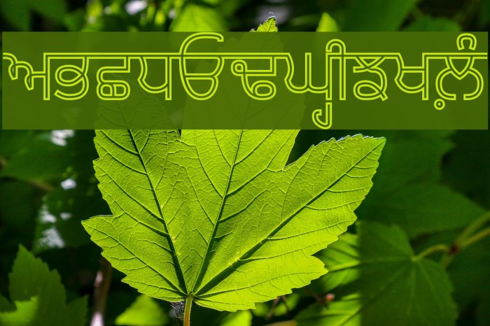 Bulara Hollow Font examples