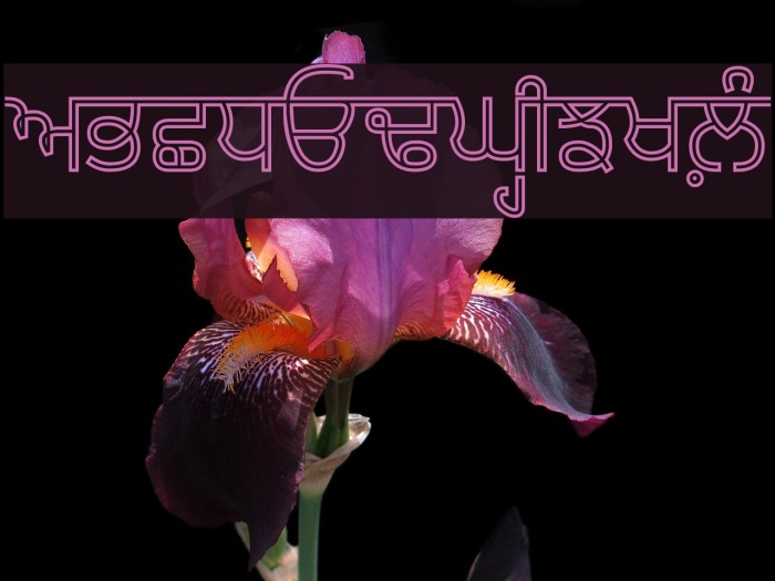 Bulara Hollow Font examples
