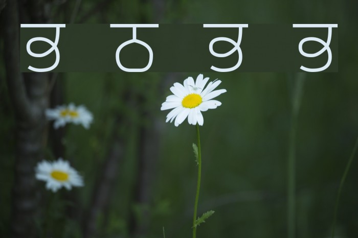Bulara Thin Border Body Font examples