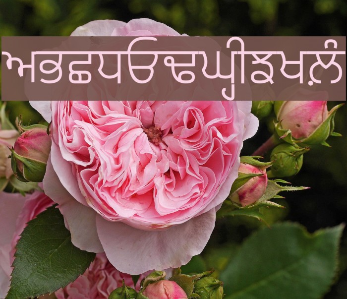 Bulara Font examples