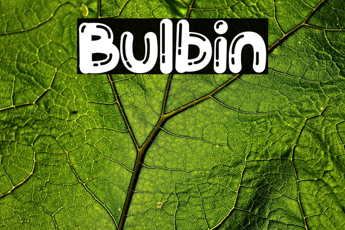 Bulbin Fuentes examples