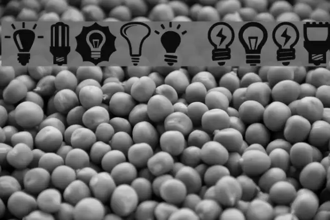 Bulbs Example 1