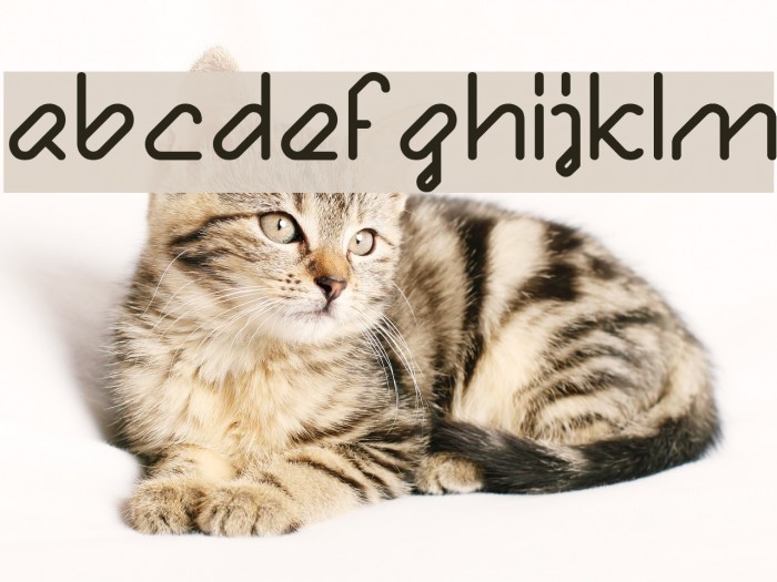 Bule Bold Font examples