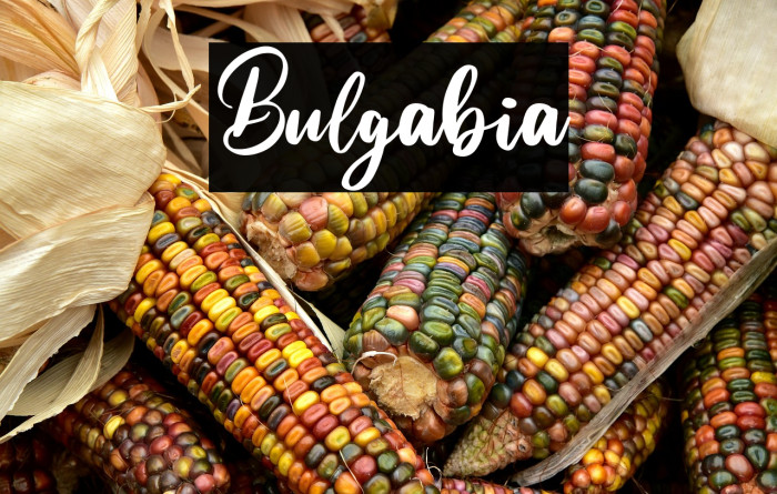 Bulgabia Example 1