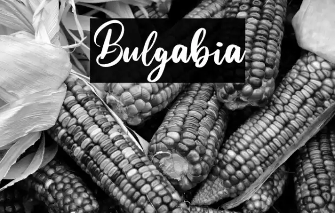 Bulgabia Font examples