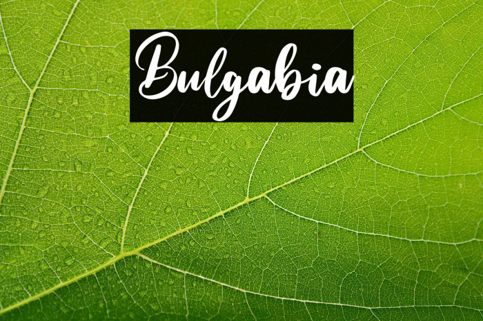 Bulgabia Example 2