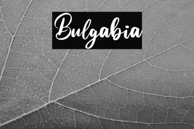Bulgabia Font examples