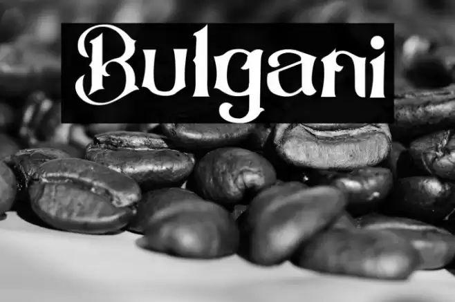 Bulgani Font examples
