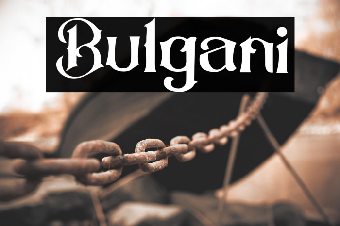 Bulgani Example 3