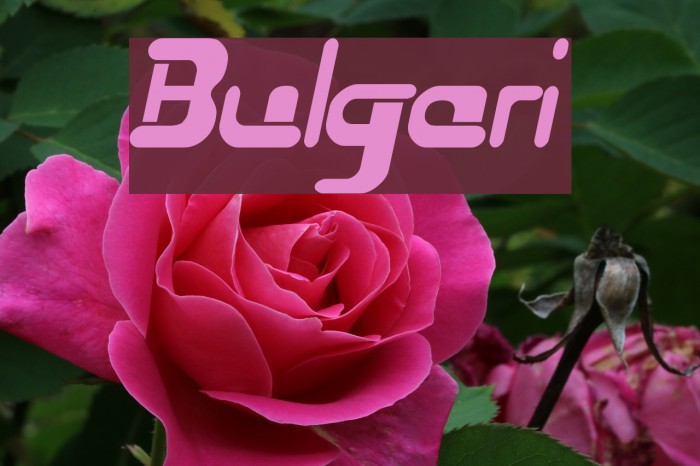 Bulgari Font 