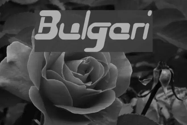 Bulgari Font examples