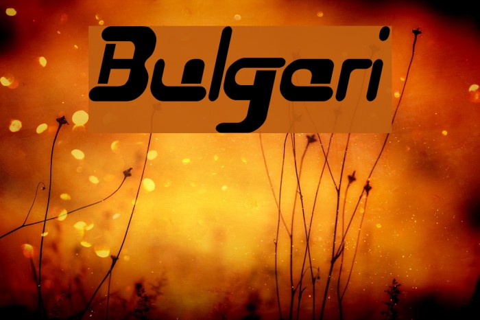 Bulgari Font 